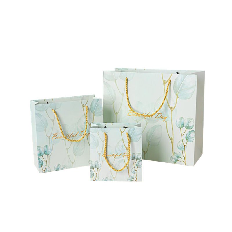 SOS Bags （Paper Shopping Bags-D01）