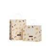 51 Kraft Paper Bags